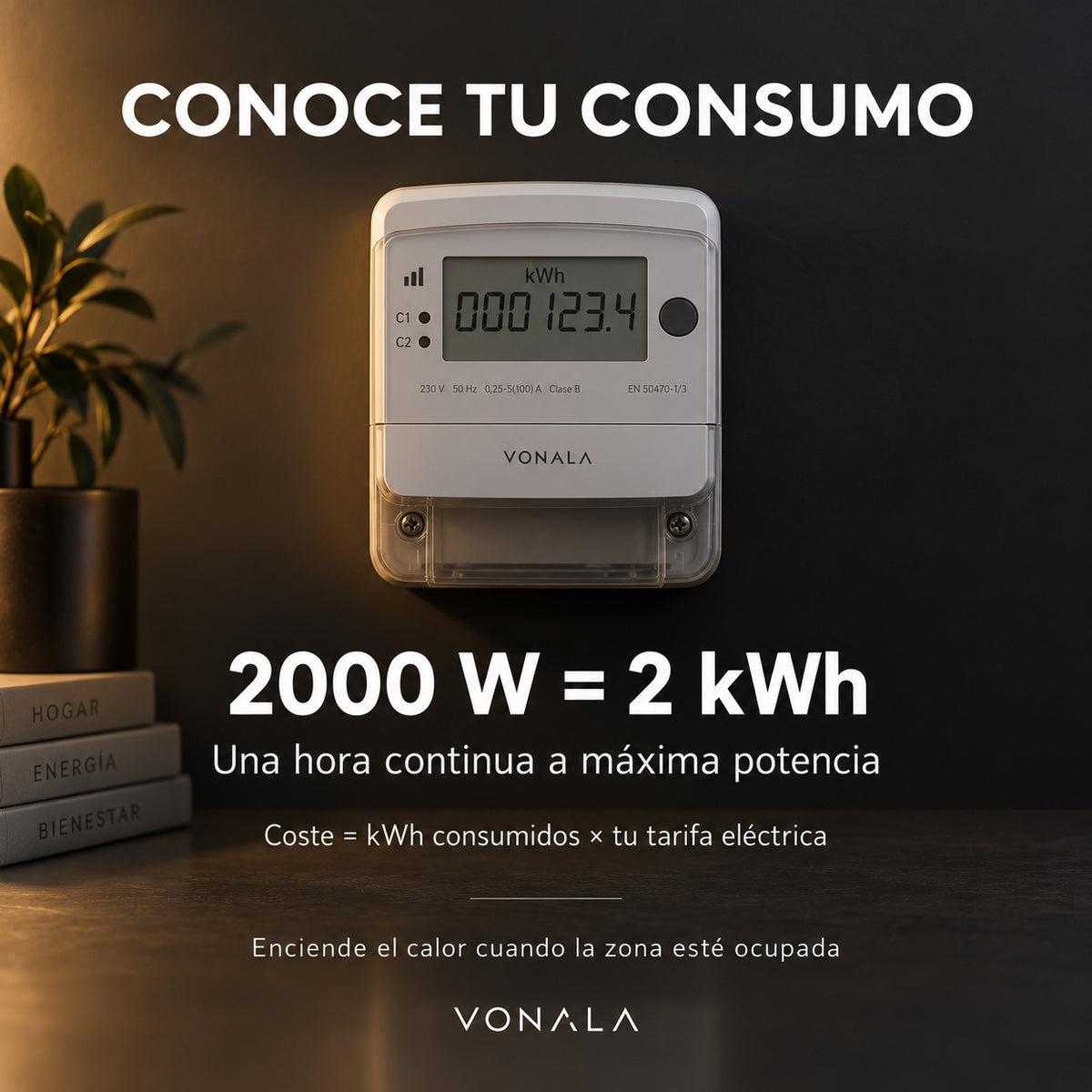 Calefactor Infrarrojo de Pie para Terrazas VONALA TERRAL L2000-S, 2000 W, Mando a Distancia, IPX5, Base Incluida
